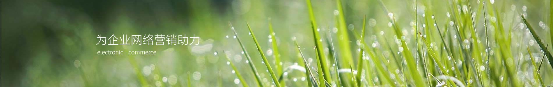 ķԴе޹˾
